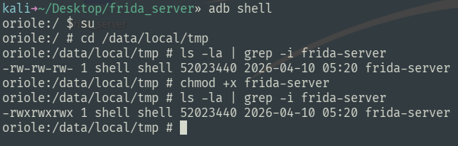 frida_server_5